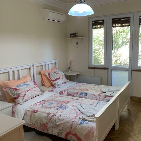 Viitoshka Apartment Sofia Bagian luar foto