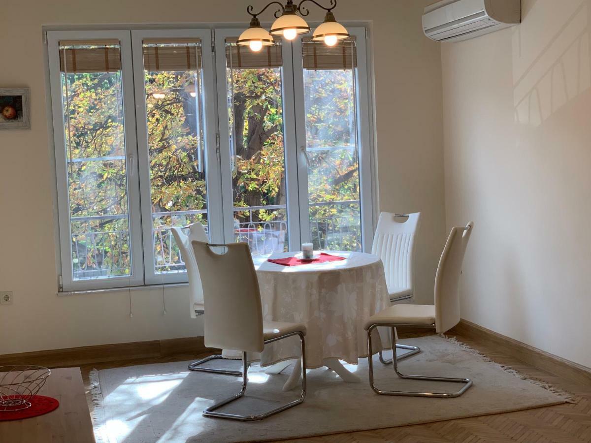Viitoshka Apartment Sofia Bagian luar foto