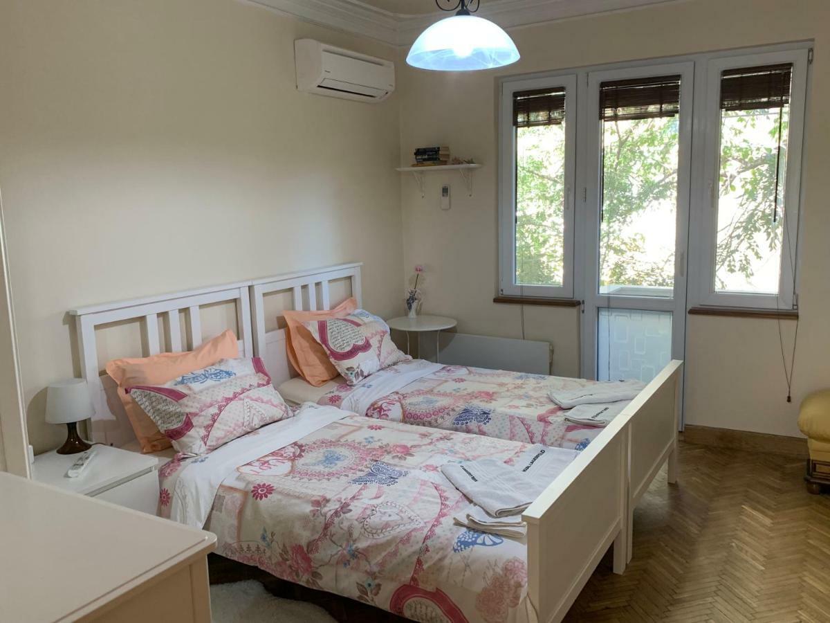 Viitoshka Apartment Sofia Bagian luar foto